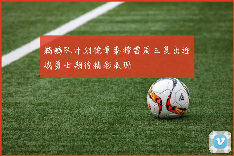 鹈鹕队计划德章泰穆雷周三复出迎战勇士期待精彩表现