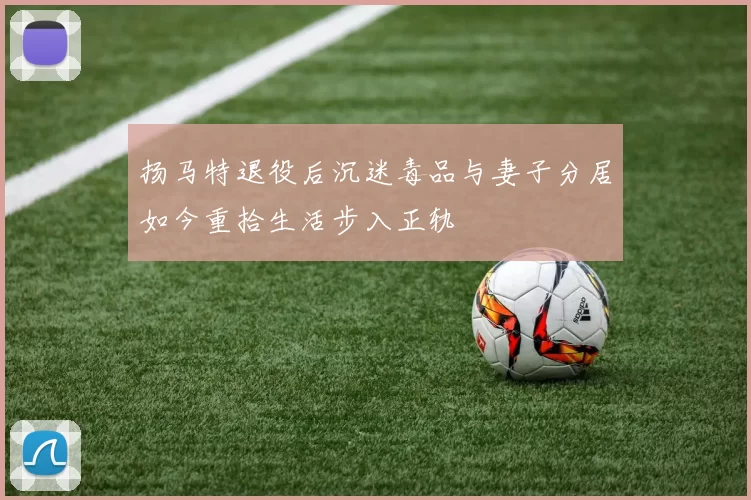 扬马特退役后沉迷毒品与妻子分居如今重拾生活步入正轨
