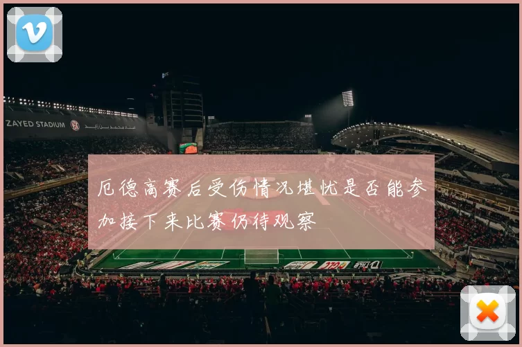 厄德高赛后受伤情况堪忧是否能参加接下来比赛仍待观察